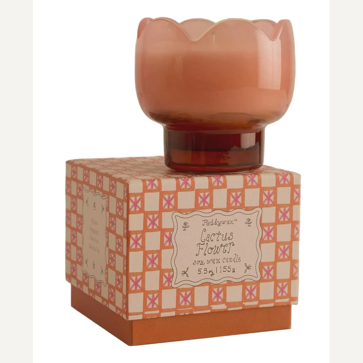 Paddywax Cactus Flower soy wax candle displayed on its branded box featuring a peach-colored scalloped glass vessel with a dark amber base and a retro pink and orange checkered pattern