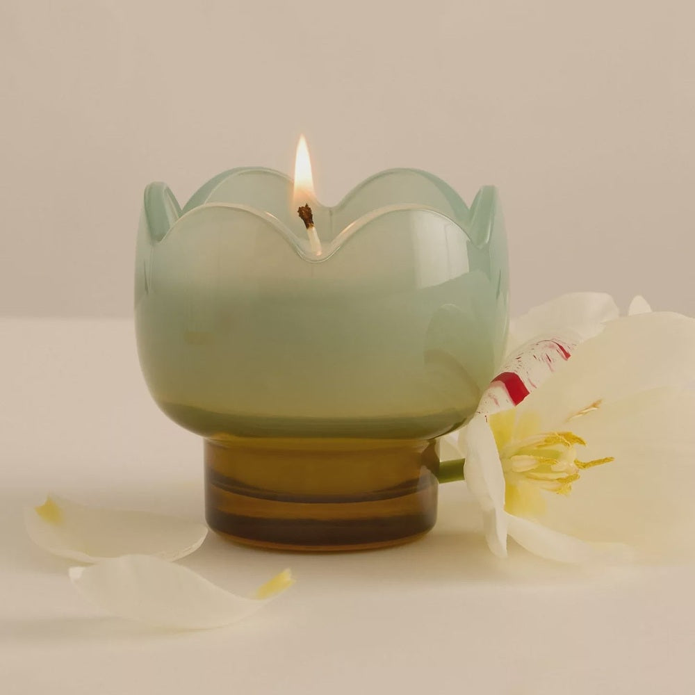 Photograph of a lit candle in a scalloped celadon glass vessel with a translucent amber base positioned next to a white tulip with red-streaked petals on a minimalist white surface