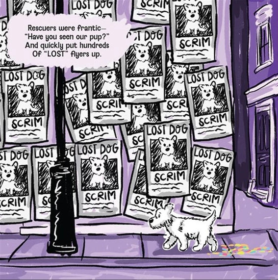 Digital illustration of a small white dog named Scrim walking past a purple city wall covered in dozens of lost dog flyers next to a black lamppost and colorful sidewalk debris