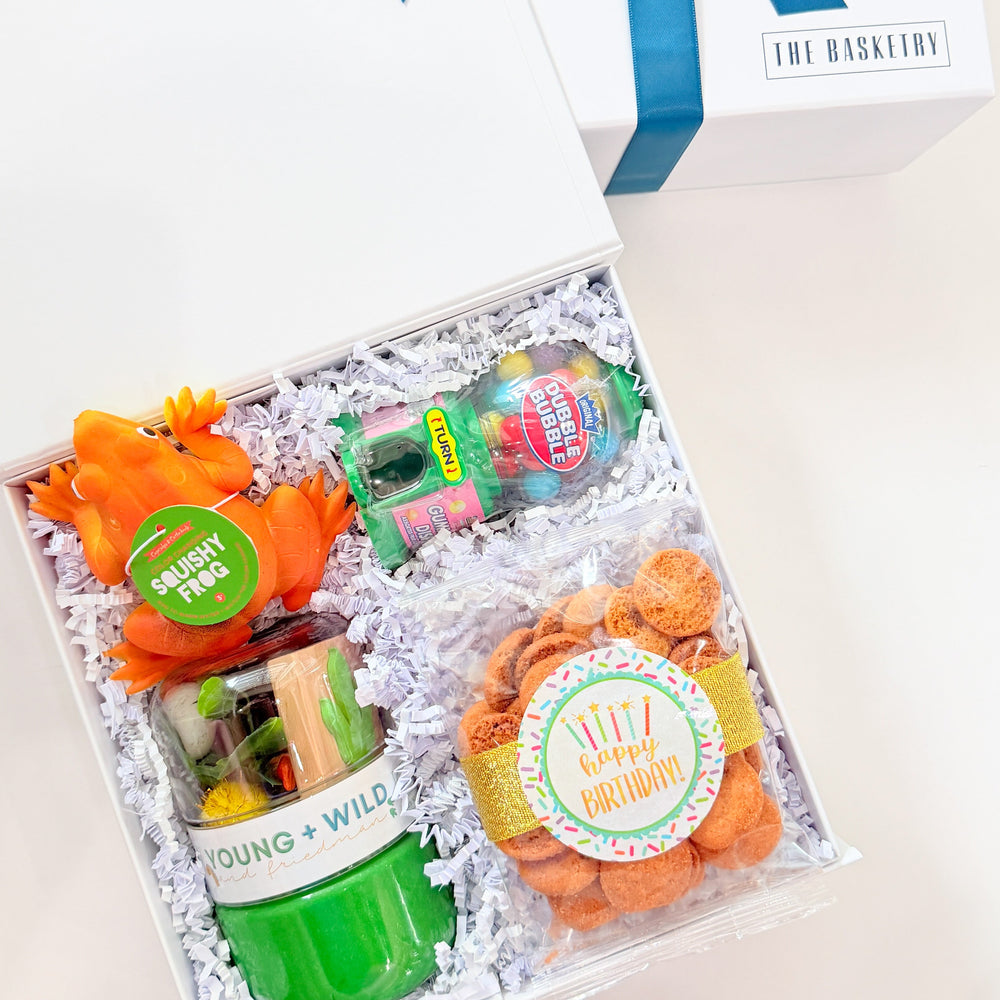 Gift set with toys and a small plant in a decorative box with a blue ribbon on a white background